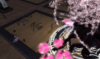 shinobicsM.jpg
